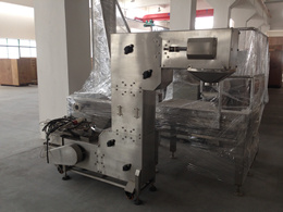 Conveyor Plant